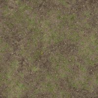 Asset preview
